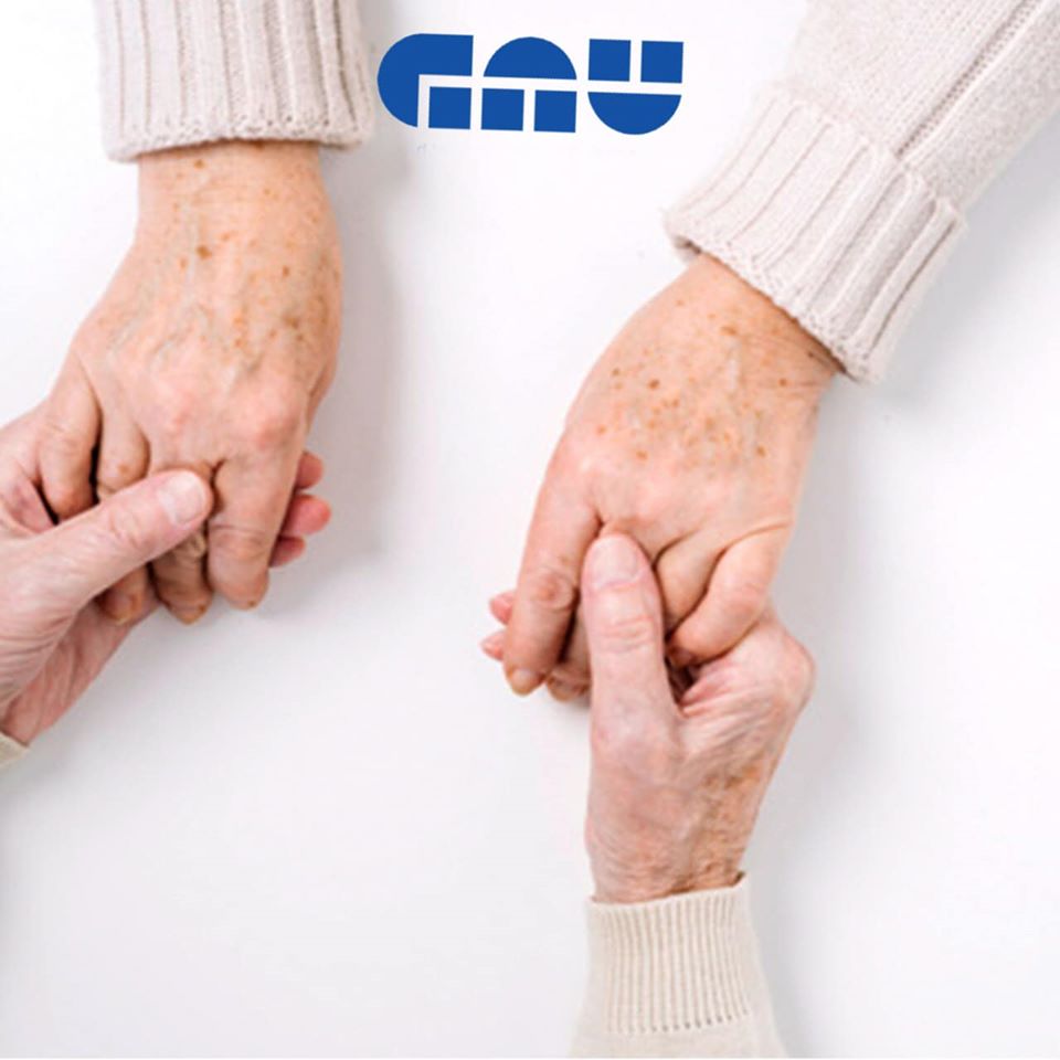  GAUქართულამერიკული უნივერსიტეტი (GAU)